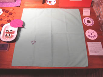 100526-1.jpg